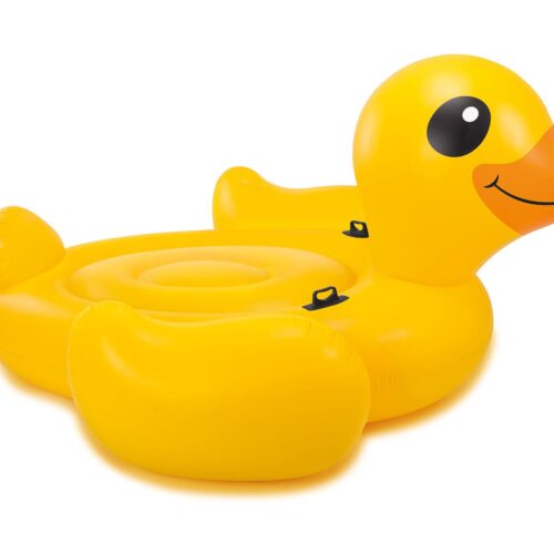 אי בצורת ברווז צהוב